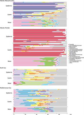 Microbiota Differences of the Comb Jelly Mnemiopsis leidyi in Native and Invasive Sub-Populations